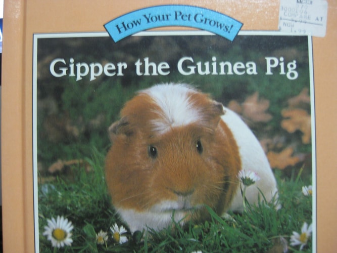 GIPPER THE GUINEA PIG (How Your Pet Grows!)