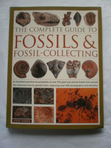 The Complete Guide to Fossils & Fossil-collecting