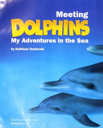 Meeting Dolphins