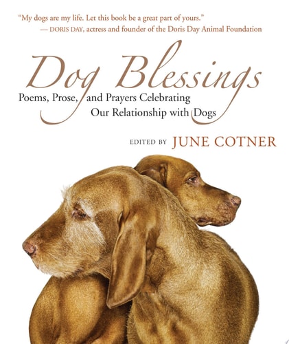 Dog Blessings: Poems, Prose, and Prayers Celebrating Our Relationship with Dogs