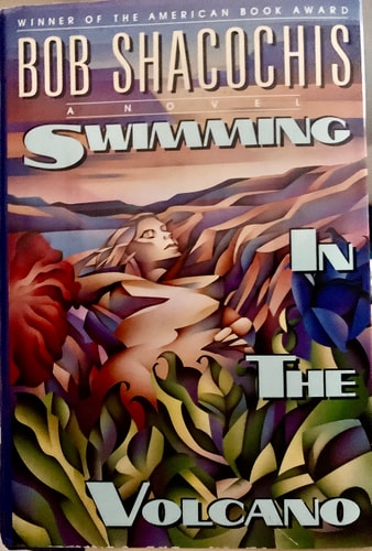 Swimming in the Volcano: A Novel
