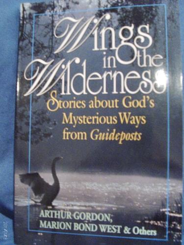Wings In The Wilderness