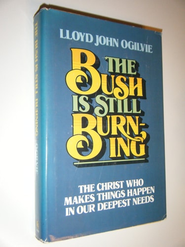 The Bush is Still Burning: The Christ Who Makes Things Happen in Our Deepest Needs