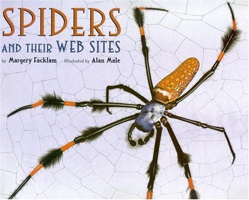 Spiders and Their Web Sites