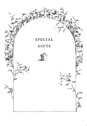 Special Gifts : Ready-for-Chapters
