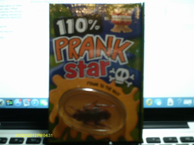 110% Prank Star