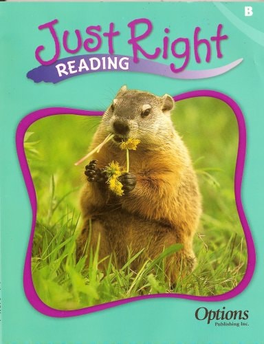 Just Right Reading Level B
