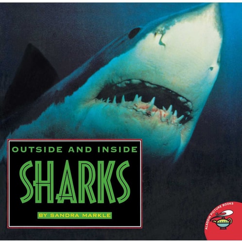 Outside and Inside Sharks