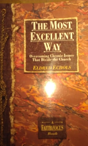 The most excellent way: Overcoming chronic issues that divide the church (A faithfocus book)