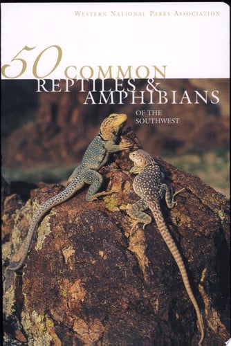 50 Common Reptiles & Amphibians of the Southwest