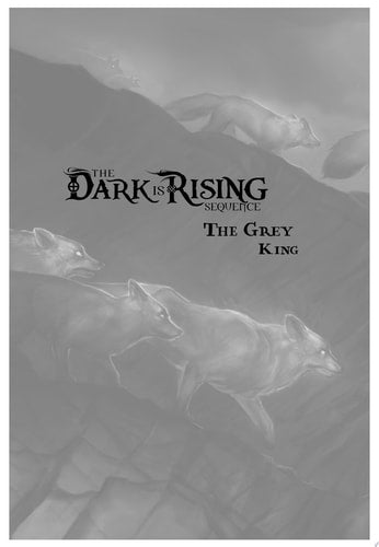 The Grey King (The Dark is Rising Sequence)