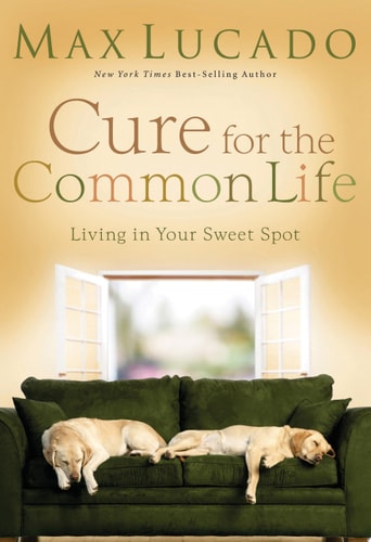 CURE FOR THE COMMON LIFE