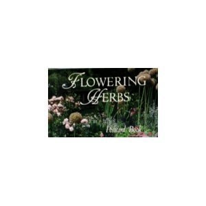 Flowering Herbs Postcard Book