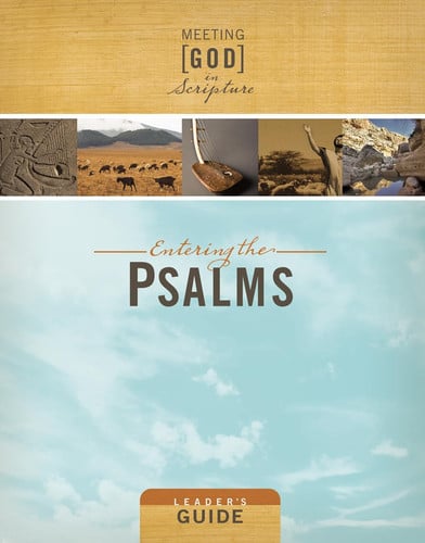 Entering the Psalms: Leader's Guide (Meeting God in Scripture Meeting God in Scripture)
