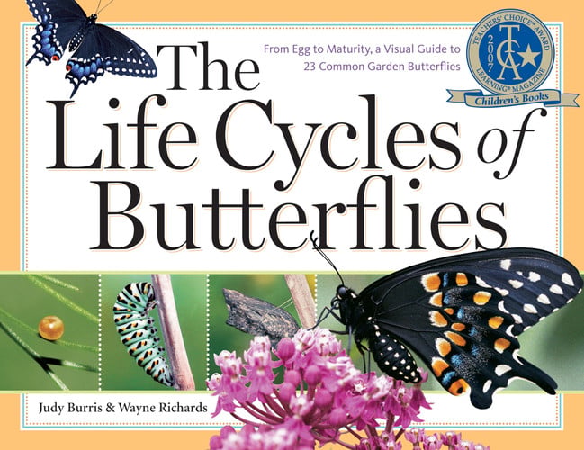 The life cycles of butterflies: from egg to maturity, a visual guide to 23 common garden butterflies