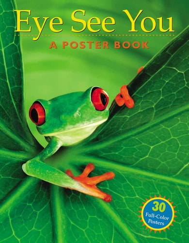 Eye See You A Poster Book