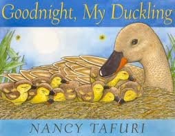 Good Night My Duckling