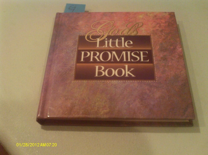 God's Little Promise Book