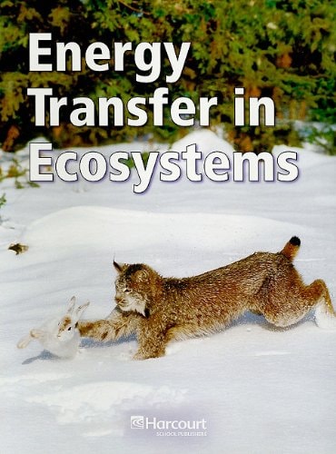Energy Transfer in Ecosystems