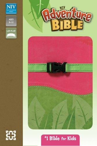NIV, Adventure Bible, Imitation Leather, Pink/Green