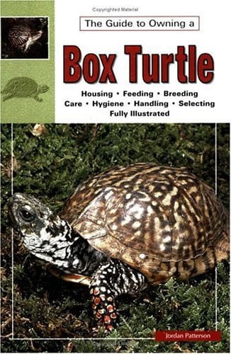 The Guide To Owning A Box Turtle