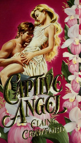 Captive Angel (Diamond Wildflower Romance)