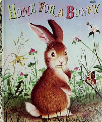 Home for a Bunny (Little Golden Book)