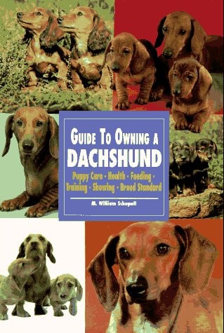 Guide to Owning a Dachshund (Re Dog Series)