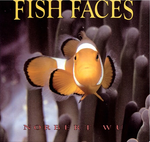 Fish Faces