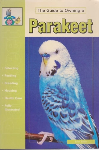 The Guide to Owning a Parakeet (Budgie)