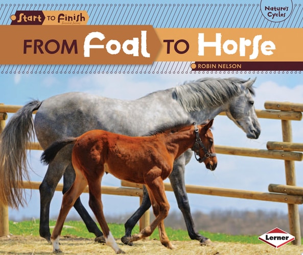 From Foal to Horse (Start to Finish, Second Series)