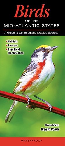 Birds of the Mid-Atlantic States
