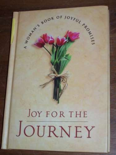 Joy For The Journey