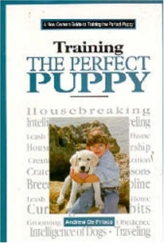 Training the Perfect Puppy: A New Owner's Guide