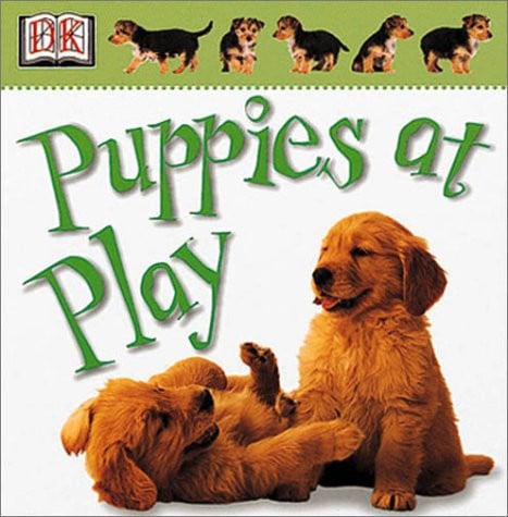 Puppies at Play