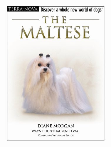 The Maltese (Terra-Nova)