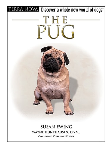 The Pug (Terra-Nova)