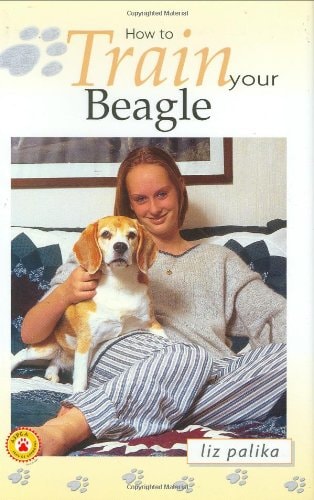 How to Train Your Beagle (How To...(T.F.H. Publications))
