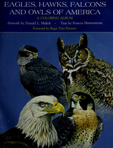 Eagles, Hawks, Falcons and Owls of America: A Coloring Album