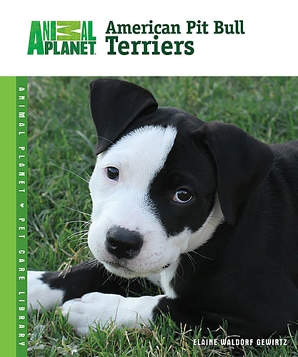 American Pit Bull Terriers (Animal Planet® Pet Care Library)