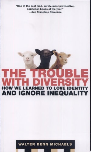 The Trouble with Diversity: How We Learned to Love Identity and Ignore Inequality