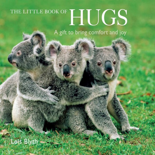 The Little Book of Hugs: A gift to bring comfort and joy