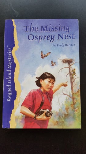The Missing Osprey Nest (Ragged)