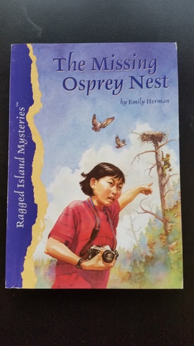 The Missing Osprey Nest (Ragged)
