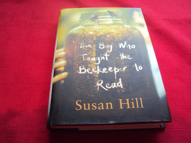 The Boy Who Taught the Beekeeper to Read: and Other Stories