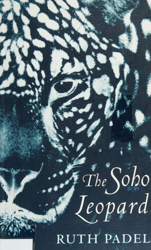The Soho Leopard