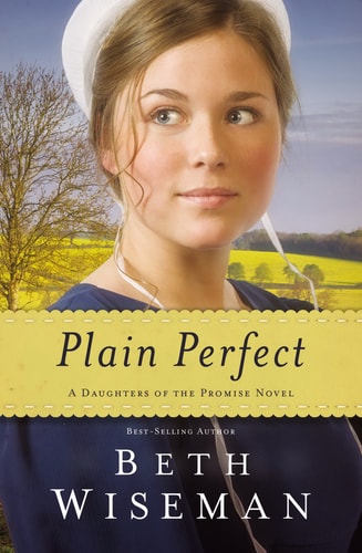 Plain Perfect (A Daughters of the Promise)