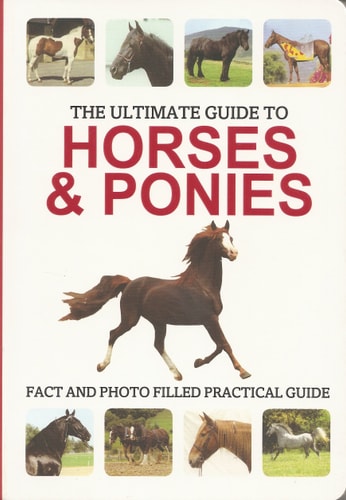 The Ultimate Guide to Horses & Ponies