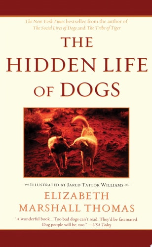 The Hidden Life Of Dogs