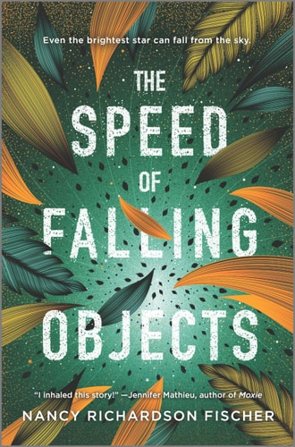 The Speed of Falling Objects